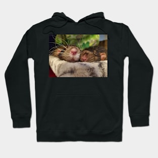 Rat Snoots Hoodie